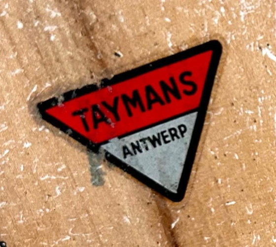 Image 1 of Tortue charmante