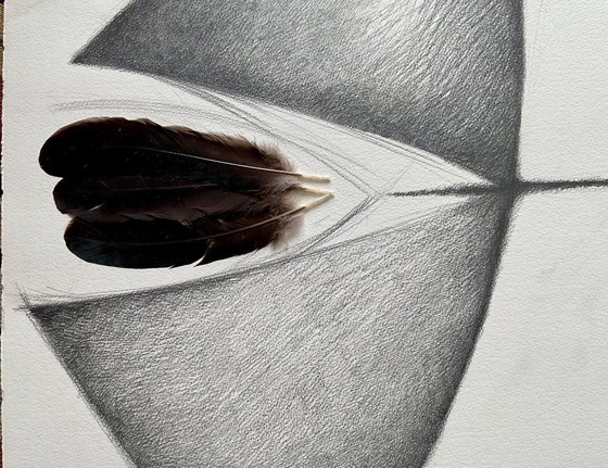 Image 1 of Collage, dessin avec des plumes