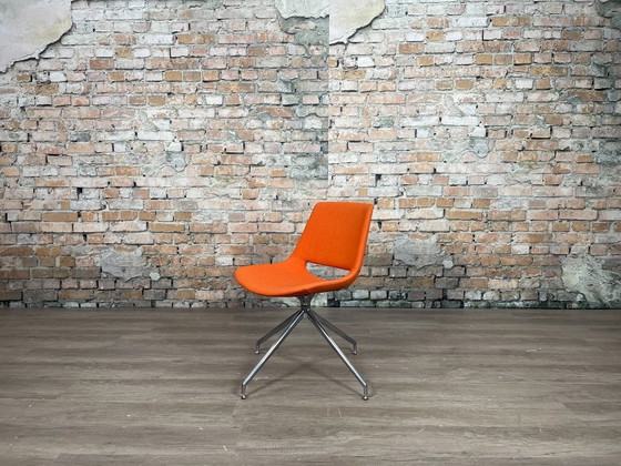 Image 1 of Arper Palm arancione