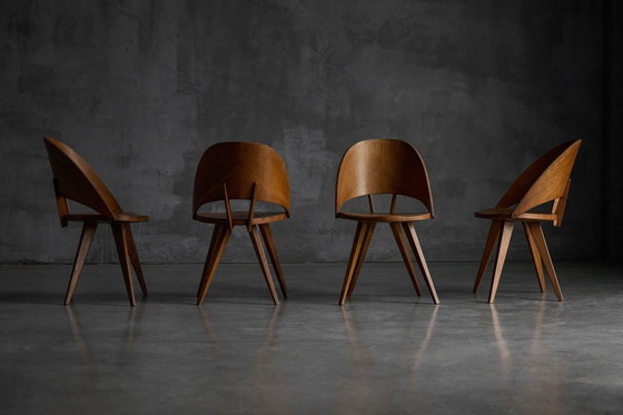 Image 1 of Mid-Century Plywood Dining Chairs, Italy, 1950s