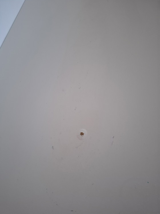 Image 1 of Designer sideboard Disk off-white