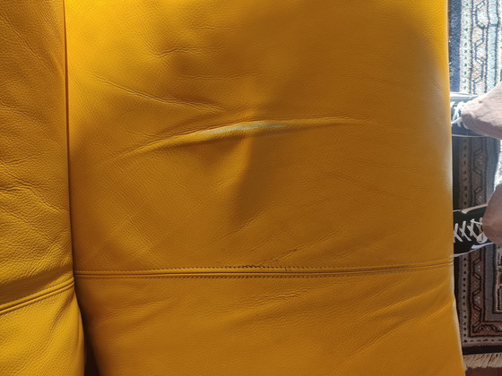 Image 1 of Leolux Tango Curry Amarillo