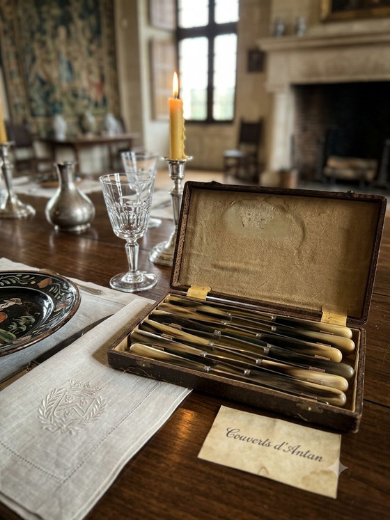 Verzameldoos uit 1920 van runderhoorn met gebeitelde messing sluiting, Thiers Cutlery, Frankrijk (photo 11 of 11)