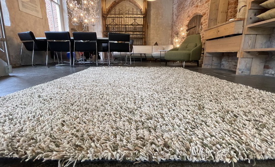 Image 1 of Brink en Campman Spring carpet Moss