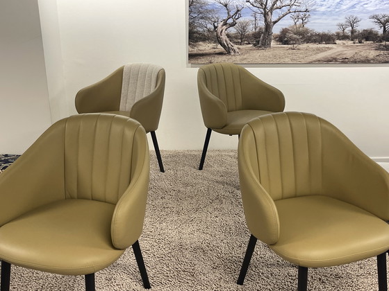 Image 1 of Sillas de comedor Leolux Baani (4)