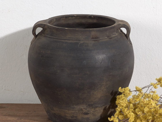 Vaso antico con manici (c.1900) #17 – Vasi (photo 2 of 40)
