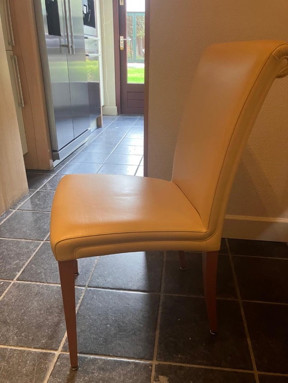 Image 1 of Set di 6 sedie Poltrona Frau