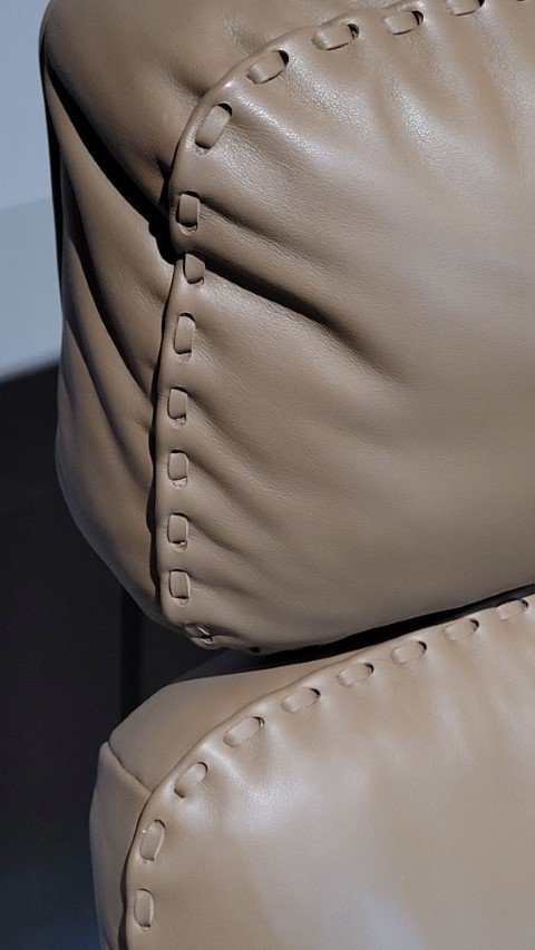 Image 1 of DS-31 Arenaria