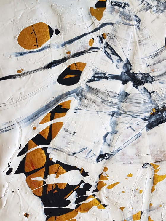 Image 1 of Jürgen Angeler - L'eleganza