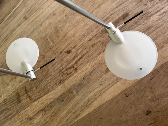 Image 1 of Faretti da soffitto regolabili Occhio Axel Meise