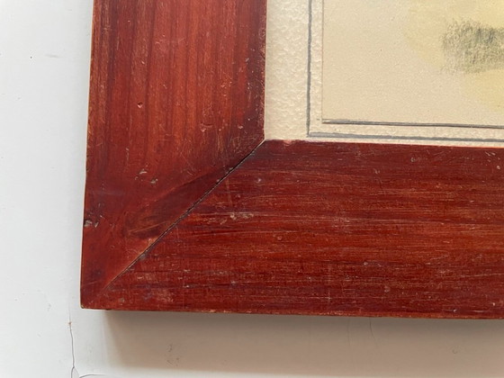 Image 1 of Incisione: Certosa di Jerez nel XIX secolo