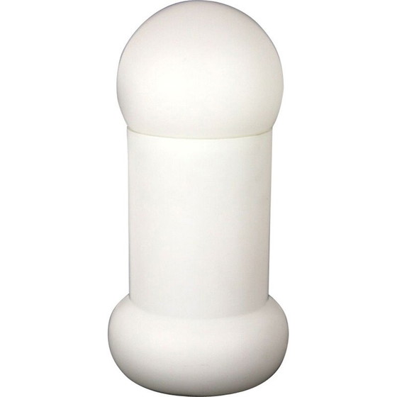 Image 1 of Lampada vintage in vetro per Lighting Glass Valašské Meziříčí, Cecoslovacchia 1970