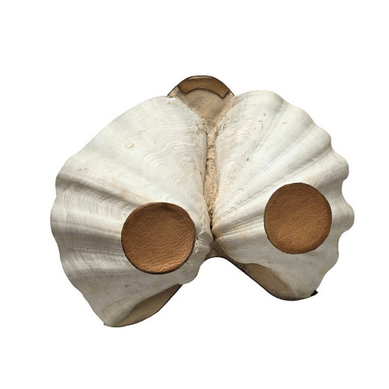 Image 1 of Vintage Maison Binazzi swan with shells