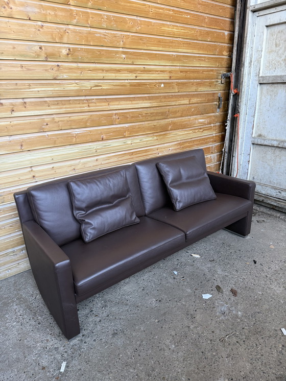 Image 1 of Sofá Leolux Timandra de 2,5 plazas (172 cm)