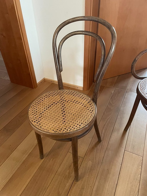 Image 1 of 6 chaises viennoises en osier Thonet, meubles en bois courbé ZPM Radomsko