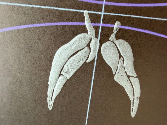 Paul Wunderlich (1927–2010), Olympische Spiele München, 1972 – Affiches, Paper (photo 5 of 14)