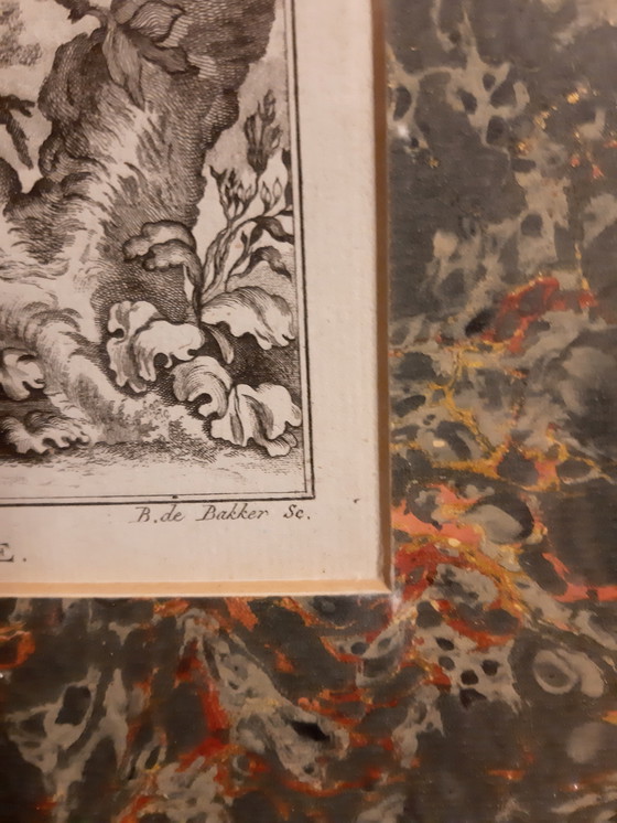 Image 1 of Die Cresserelle