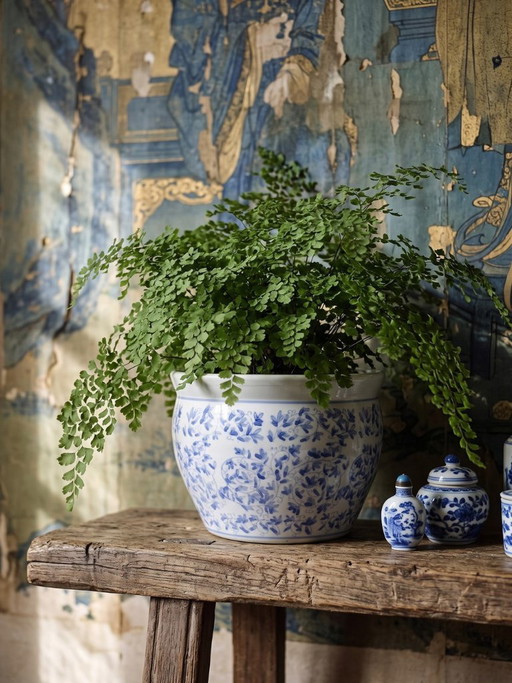 Maceta de porcelana china antigua azul y blanca con decoración vegetal.
