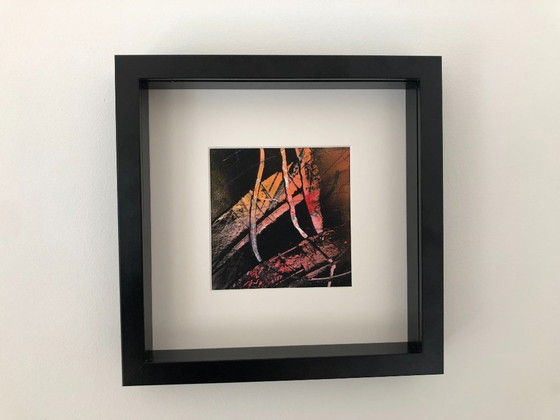 Image 1 of Rob Jacobs - underwater world 1