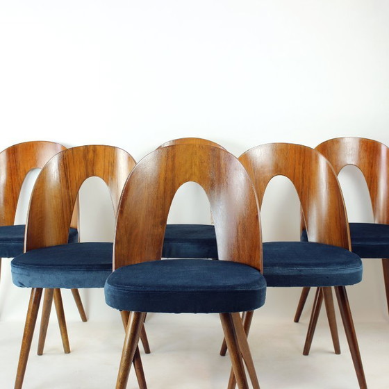 Image 1 of Set Of 6 Iconic Tatra Chairs In Walnut & Velvet By šuman, Nabytok Pravenec 1960s