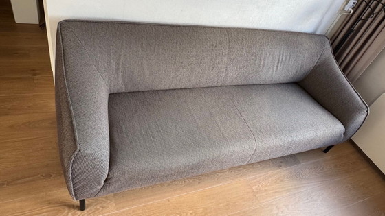 Image 1 of Freistil 132 3-Seater Sofa (Made by Rolf Benz)
