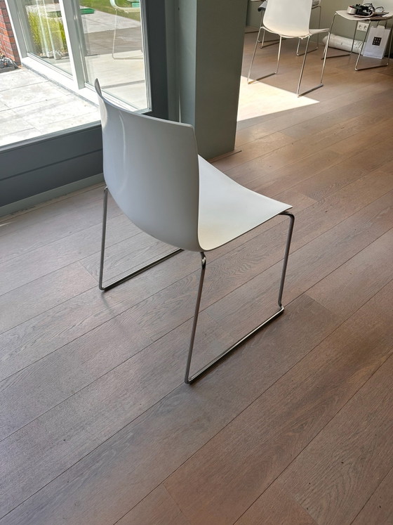 Six Arper Catifa dining chairs in very good condition! – Plastic (photo 10 of 10)