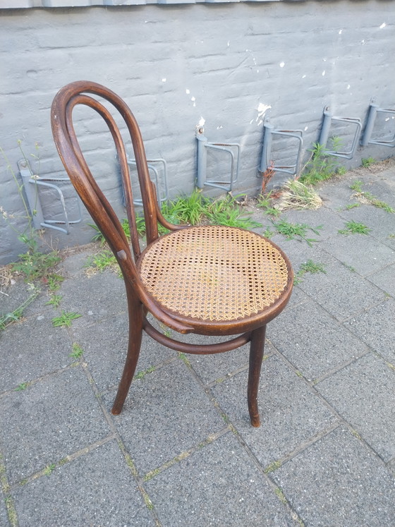 Image 1 of 1 juego de 4 Thonet Modelo 14 de la década de 1920 en perfecto estado.