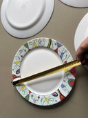 6 grandes assiettes vintage Arcopal Vegas D 31cm