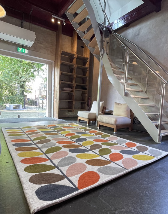 Image 1 of Brink and Campman Orla Kiely Classic Multi Stem