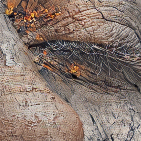 Image 1 of What Burns in Me - 2025 - Heritage Fresco Style - Hahnemuehle on Dibond - 100 x 75 cm