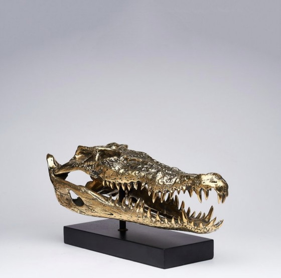 Image 1 of Sooka Sculpture, saltwater crocodile skull 37 cm bronze