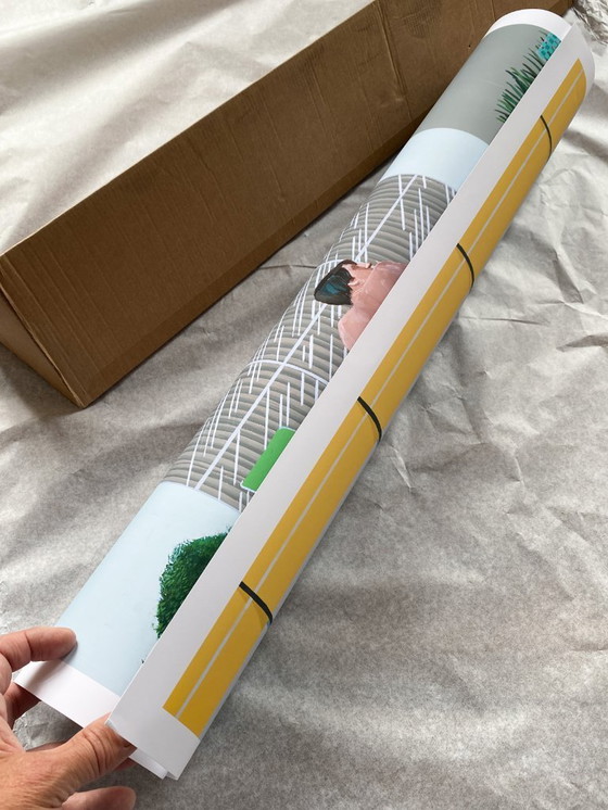 Image 1 of Peter in Nicks zwembad - D. Hockney - poster 70 × 100 cm