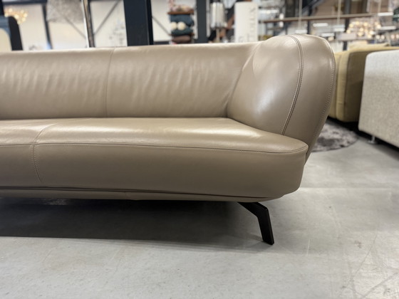 Image 1 of Leolux Flint Sofá 2,5 Plazas Raffino Koala Cuero