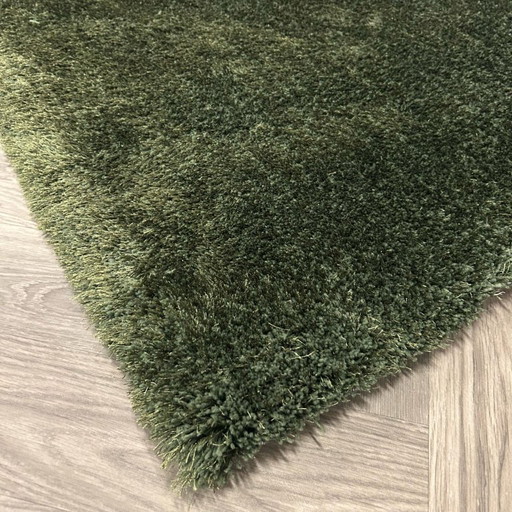 Brinker Carpets Puglia Green Rug - 160x230cm