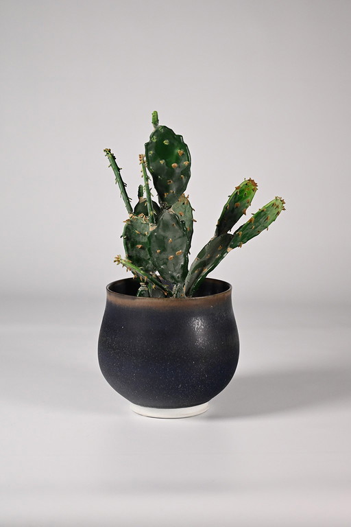 Le cachepot de Hein Severijn