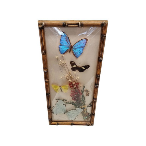 Papillons vintage en peluche dans un cadre