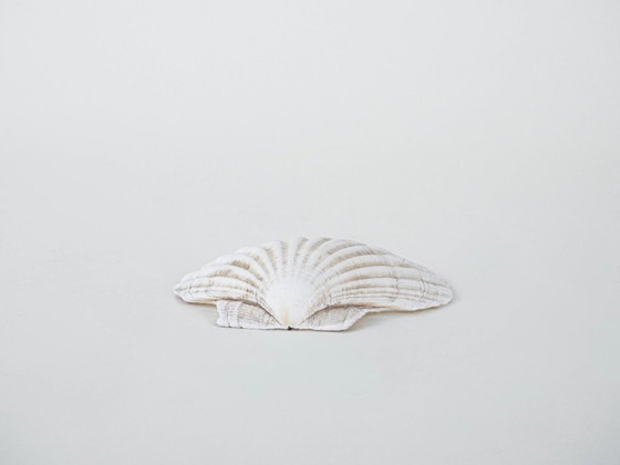 Image 1 of Coquillage décoratif, style bohème, années 1980