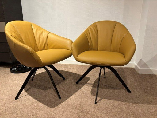 Gealux Levi – eetkamerstoelen, Leather, Calfskin (photo 2 of 2)