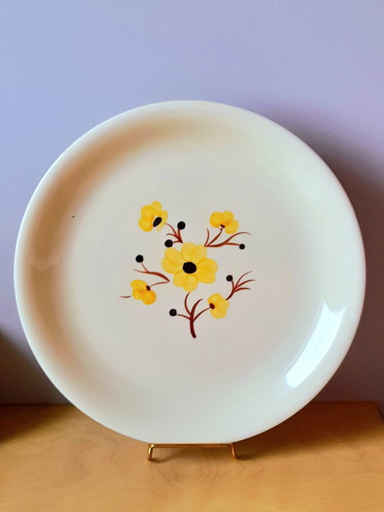 Image 1 of Earthenware dish from Salins, Catherine pattern, 30 cm.