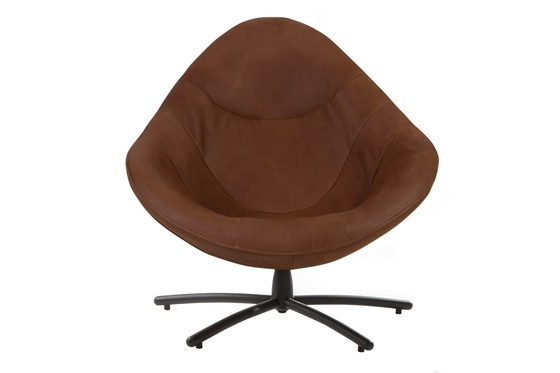 Image 1 of Label Hide Sessel