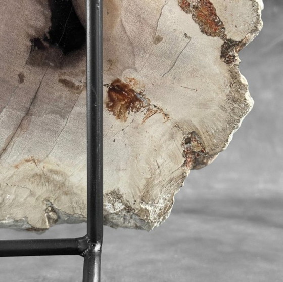 Image 1 of Madera fosilizada de Sooka, soporte hecho a medida (nuevo)