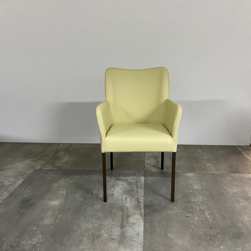 Spargo 4er-Set