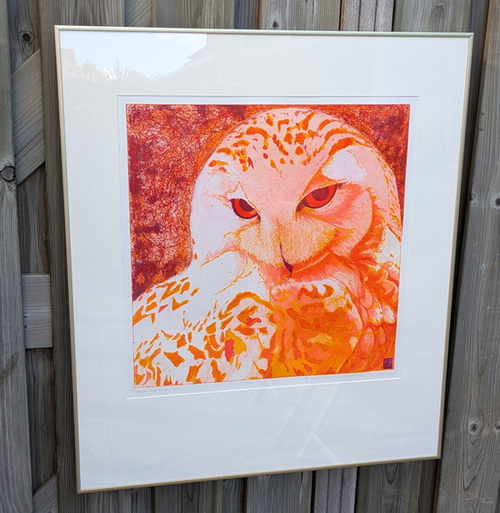 Image 1 of Large Coloring Set Snowy Owl Toni de Klerk