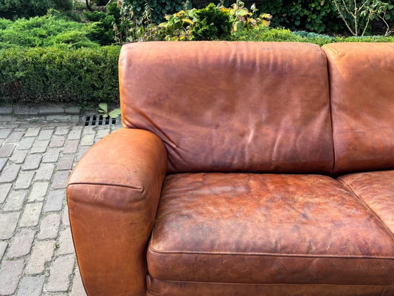 Molinari Fat Boy, Divano 2,5 posti, Cognac – Divani, Pelle (photo 3 of 9)