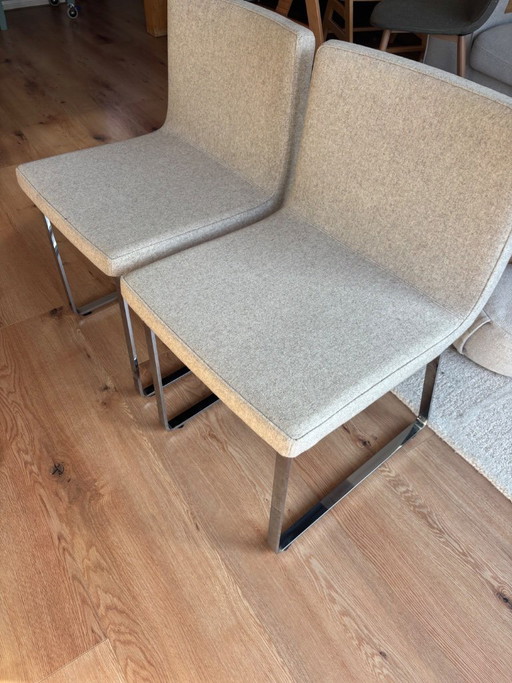 Juego de 6 sillas de comedor Poliform