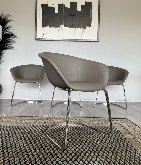 Image 1 of 4x Chaise Arper Duna Design by Lievore Altherr Molina, ca2014