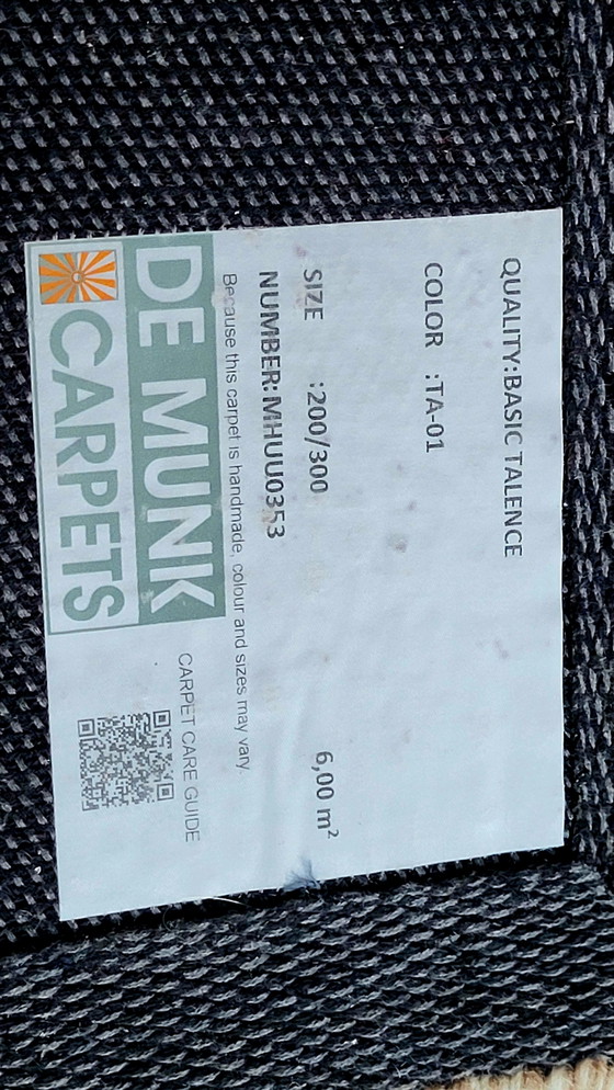 Image 1 of High-pile Rug Talence 01 De Munk Carpets