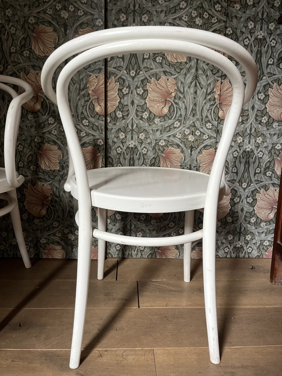 Image 1 of 2 Vintage Thonet stoelen – Model No. 204/ Vienna – Wit