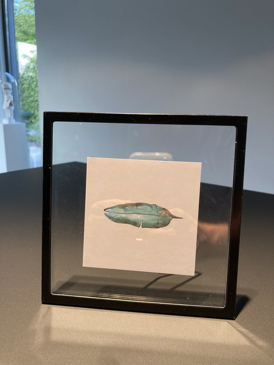 Image 1 of Picture frame with illustration of teal feather