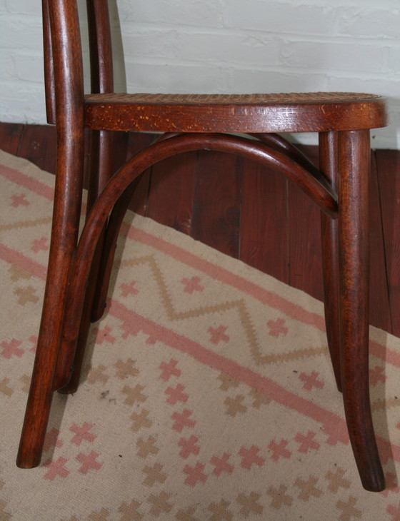 Image 1 of Alter restaurierter Thonet Typ N°391